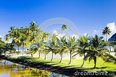 Maracas Bay Stock Photo