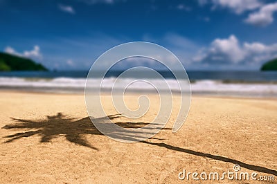 Maracas bay Trinidad and Tobago beach palm tree shadow Stock Photo