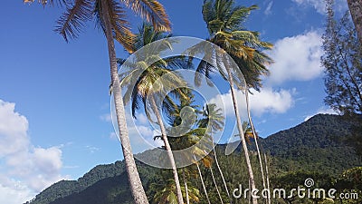 Maracas Beach Trinidad Stock Photo