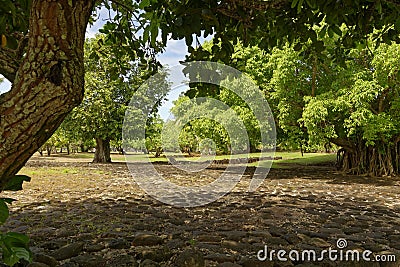 Marae of Taputapuatea in Raiatea Stock Photo