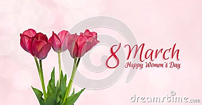 8 March International Women`s Day Stock Photo