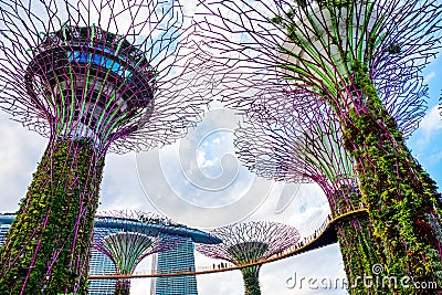 2019 March 1st, Singapore, Garden by the bay - View of the supertrees and people are doing their activities Editorial Stock Photo