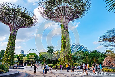 2019 March 1st, Singapore, Garden by the bay - View of the supertrees and people are doing their activities Editorial Stock Photo