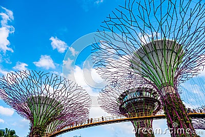 2019 March 1st, Singapore, Garden by the bay - View of the supertrees and people are doing their activities Editorial Stock Photo