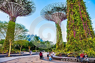 2019 March 1st, Singapore, Garden by the bay - View of the supertrees and people are doing their activities Editorial Stock Photo