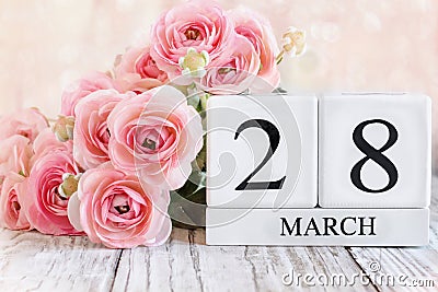 March 28th Calendar Blocks with Pink Ranunculus Stock Photo