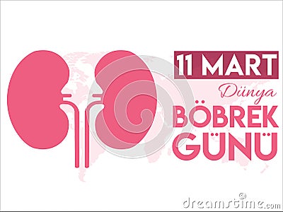 11 March World Kidney Day Turkish translate: 11 Mart Dunya Bobrek Gunu Vector Illustration