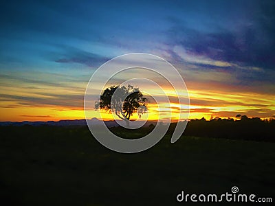 Marche region, Italy. Sunset, colours, sentiments, tree and fairytale Stock Photo