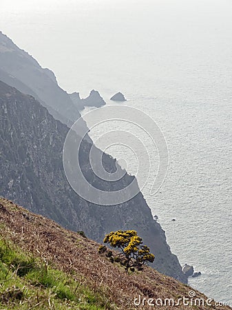 The Mare & Colt rocks, Trentishoe Stock Photo