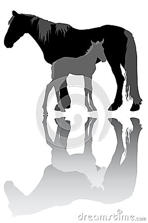 Mare with a foal Vector Illustration