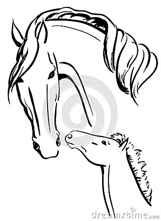 Mare and foal black and white Vector Illustration