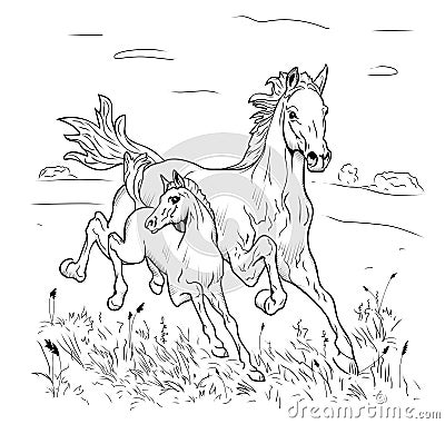 Mare and foal hurry on steppe Vector Illustration