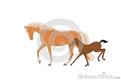 Mares with foals on a walk Vector Illustration