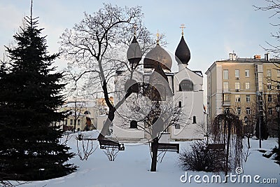 Marfo-Mariinsky Convent of Mercy in Moscow in winter Stock Photo