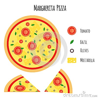 Margherita pizza with ingredients Vector Illustration
