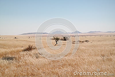 Marian Fluss in the Winter Stock Photo