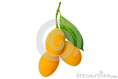 Marian plum or Ma Yong Chid isolated on white background Stock Photo