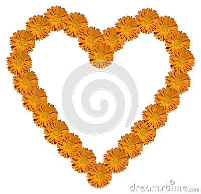 Marigold Calendula Heart Stock Photo