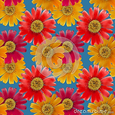 Marigold, calendula. Seamless pattern texture of flowers. Floral background, photo collage Cartoon Illustration