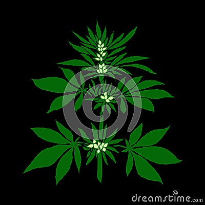 Marijuana leaf in abstract style, plant with buds Vector Illustration