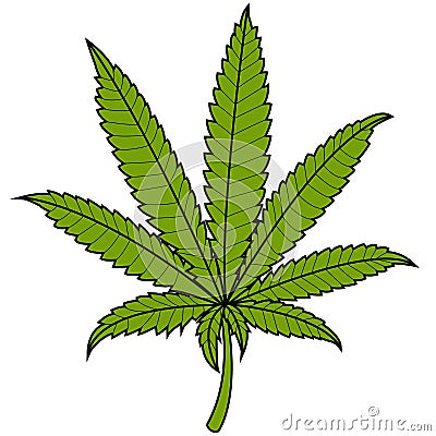 Marijuana cannabis leaf. Vector Illustration Vector Illustration