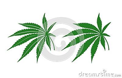 Marijuana leafs Vector Illustration