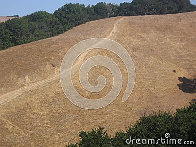 Marin County Hiking Trails Stock Photo