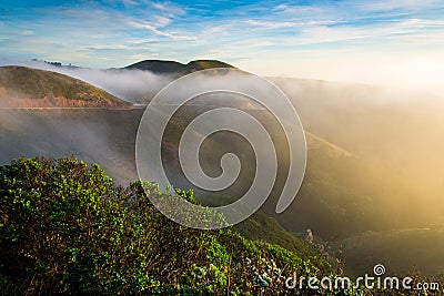 Marin Headland in fog Stock Photo