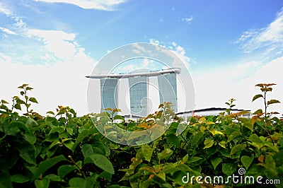 Marina Bay Sands on a green bed. Stock Photo