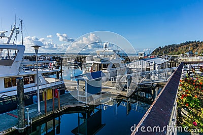 Marina Boats Scene Stock Photo