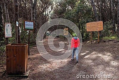 Marina di Cecina, Leghorn - Tuscany, Italy Editorial Stock Photo