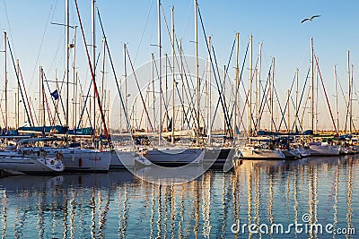 Marina with docked yachts at sunset. Ashdod Editorial Stock Photo