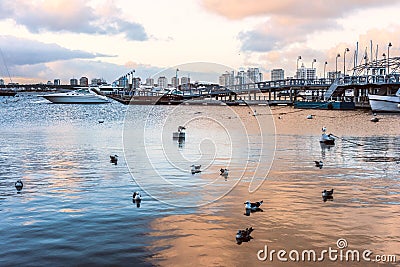 Marina of Punta del Este, Uruguay Stock Photo