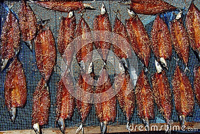 Marinated fish drying Stock Photo