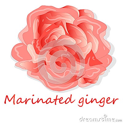 Marinated ginger slices illustration isolated Vector Illustration