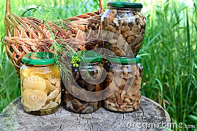 Marinated mushrooms in glass jar Stock Photo