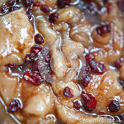 Marinated turkey meet with cranberry Stock Photo