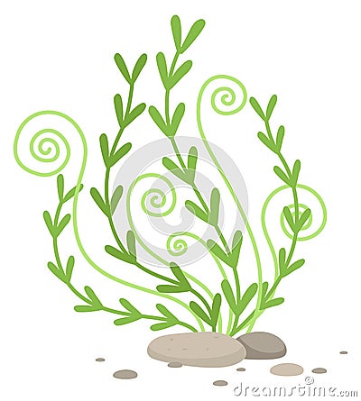 Marine algae icon. Cartoon seaweed. Underwater plant Vector Illustration