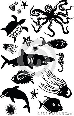 Marine Animals Vector Illustration