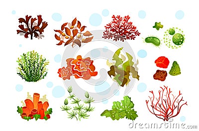 Marine aquarium flora, coral reef underwater seaweeds, ocean plants Vector Illustration