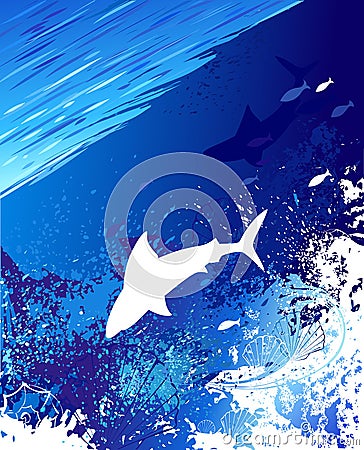 Marine background with a white shark Vector Illustration