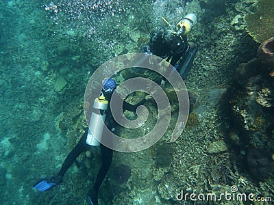 Marine biologist checking coral reef. Editorial Stock Photo