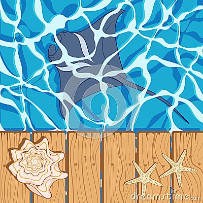 Marine color background with manta, starfish and seashell. Summer vector background. Vector Illustration