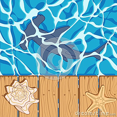 Marine color background with a shark hammer, shell and starfish. Summer vector background. Vector Illustration