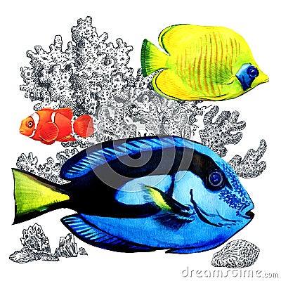 Marine coral fish with corals, isolated. Colorful sea fishes in aquarium. Watercolor illustration on white background Cartoon Illustration