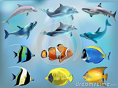 Marine fish in the set Vector Illustration