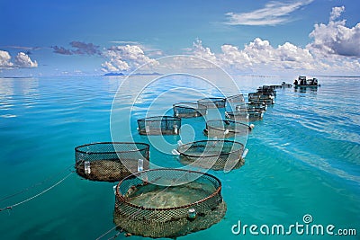 Marine Fishery on turquoise sea Stock Photo