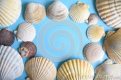 Marine frame made of Japanese sea scallop seashells on a blue background. close-up Stock Photo