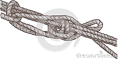 Marine knot Vector Illustration