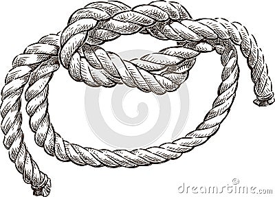 Marine knot Vector Illustration